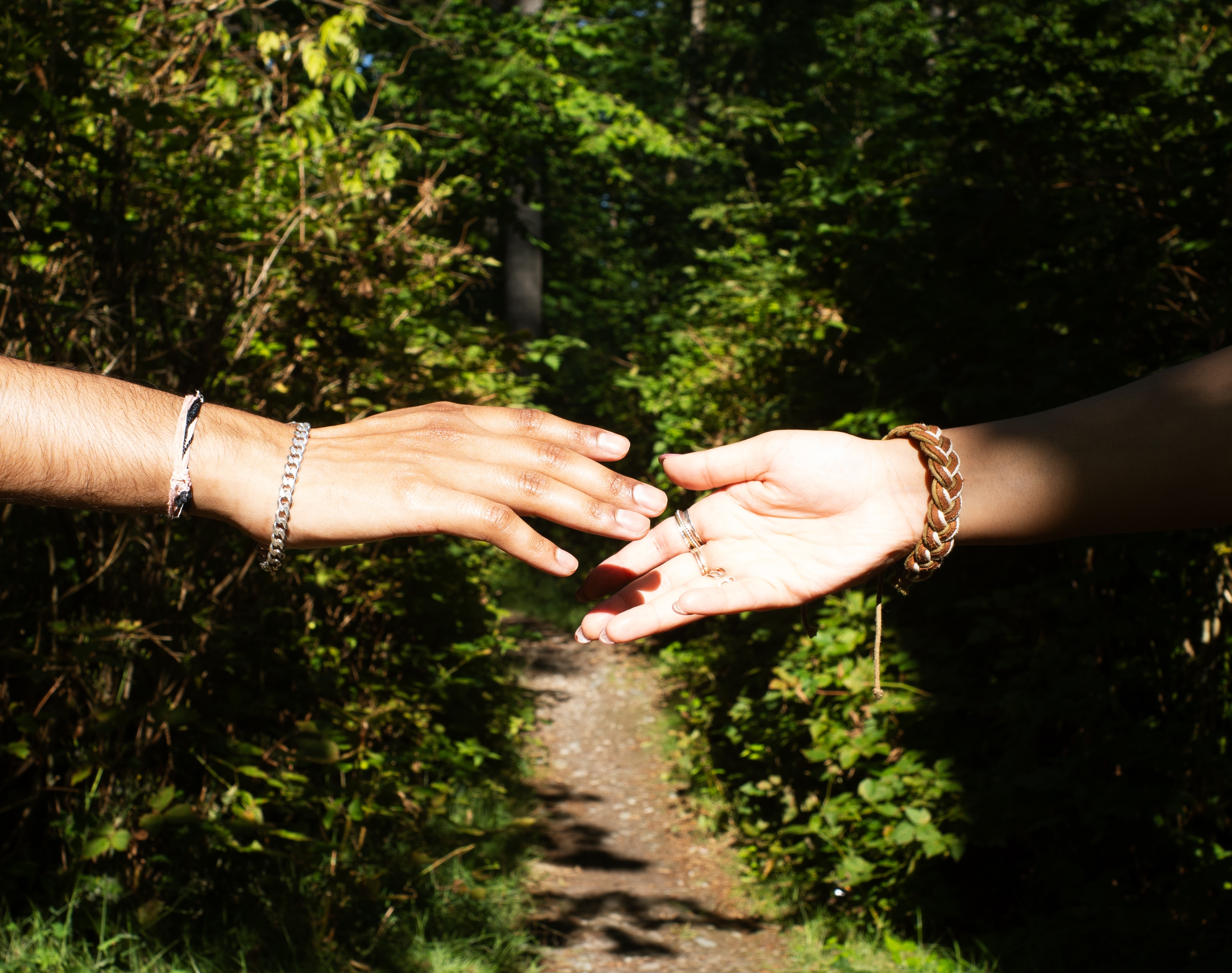 Two hands reaching toward each other on a sunlit forest path